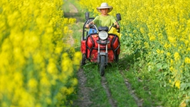 “治荒奶奶”葉金娥：“我把土地當做是療養(yǎng)院”