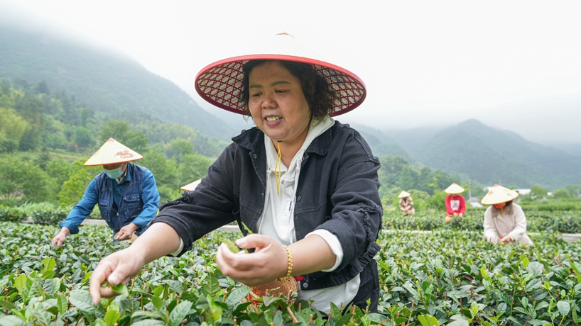 守“綠”換“金”！大別山區(qū)“兩山”實(shí)踐創(chuàng)新基地觀察