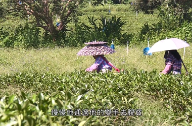 第七集：水利工程 生態(tài)扶貧