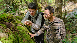 贛閩攜手“逐”綠守護(hù)武夷山國家公園