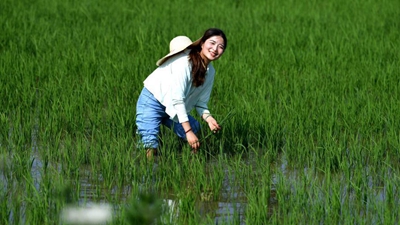 “90后”新農人的田園創(chuàng)業(yè)夢