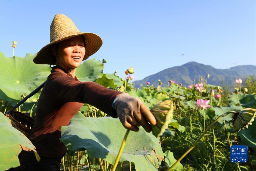 （江河奔騰看中國）（3）綠色閩江 清新福建