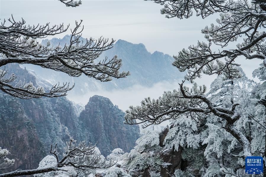 #（鏡觀中國·新華社國內(nèi)新聞?wù)掌恢芫x）（1）黃山初春霧凇美