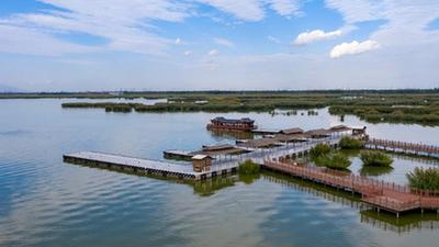 寧夏沙湖 碧波萬頃