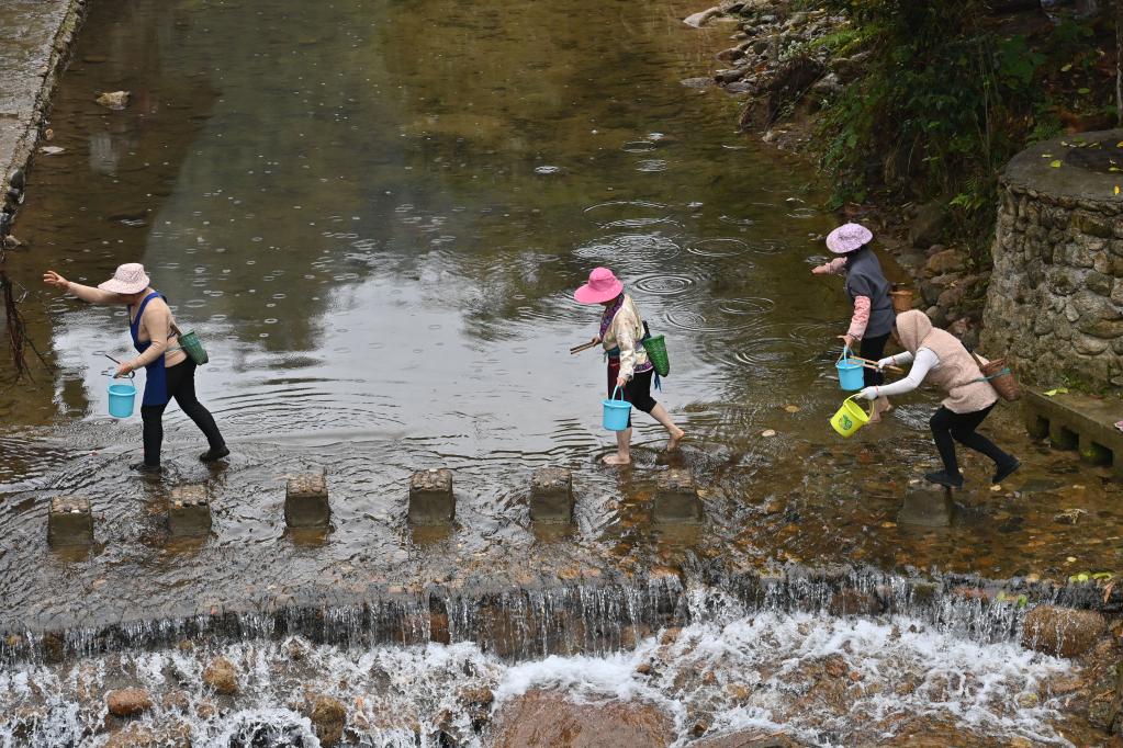 廣西融水：河長護碧水