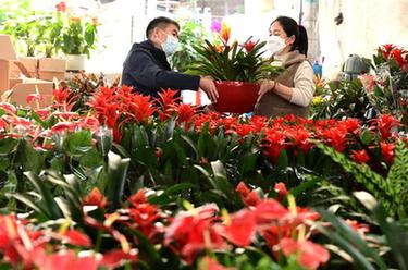 新年臨近 花卉俏銷