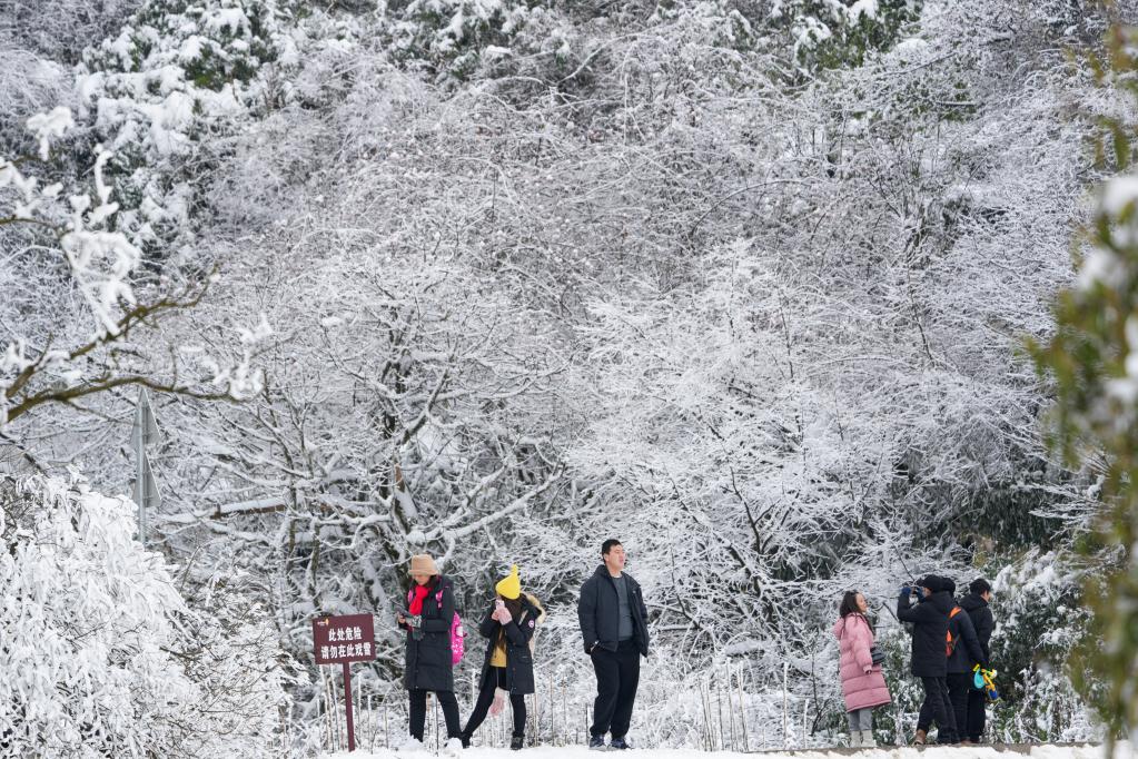 重慶：冰雪經濟催動金佛山冬季旅游實現“開門紅”