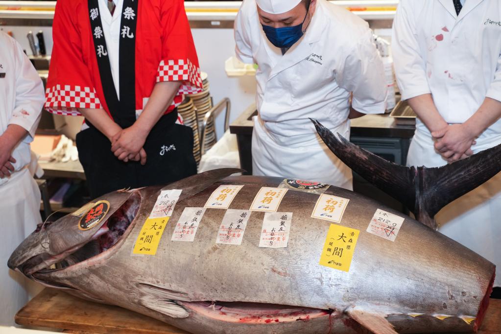 日本“大間金槍魚(yú)”連續(xù)11年贏得新年首拍最高價(jià)