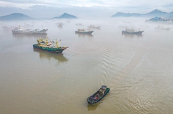 浙江溫嶺：漁船進(jìn)港避寒潮