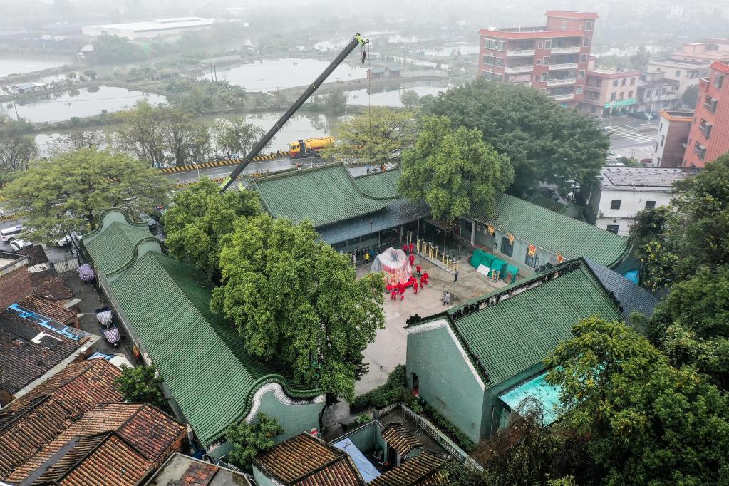 新華全媒+丨體育地理丨天下醒獅，皆出南海