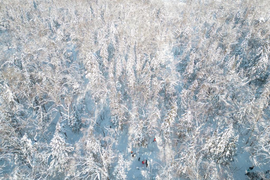 走進(jìn)牡丹江“冰雪畫(huà)廊”