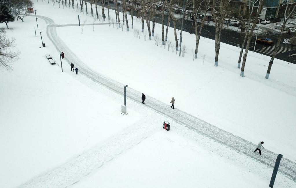 “冰城”迎春雪