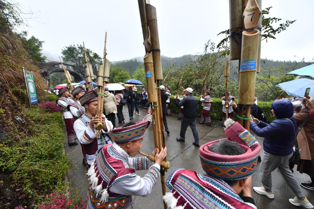 “粵桂協(xié)作”旅游專列開(kāi)進(jìn)大苗山