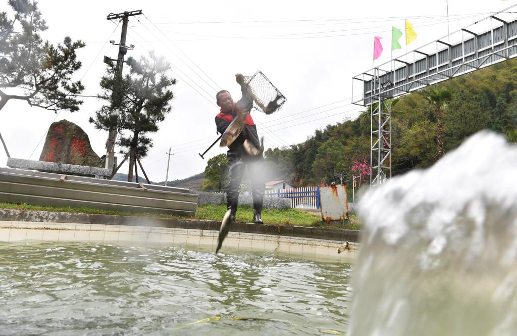 湖南衡山：泉水魚(yú)養(yǎng)殖帶動(dòng)村民增收