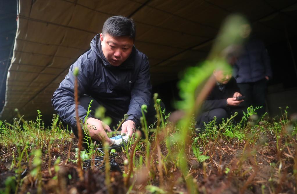 科技惠農助振興