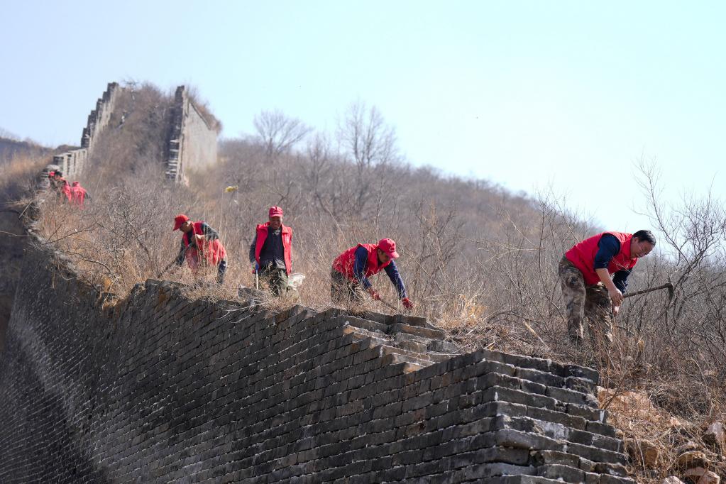 “長城保護(hù)小分隊(duì)”在行動