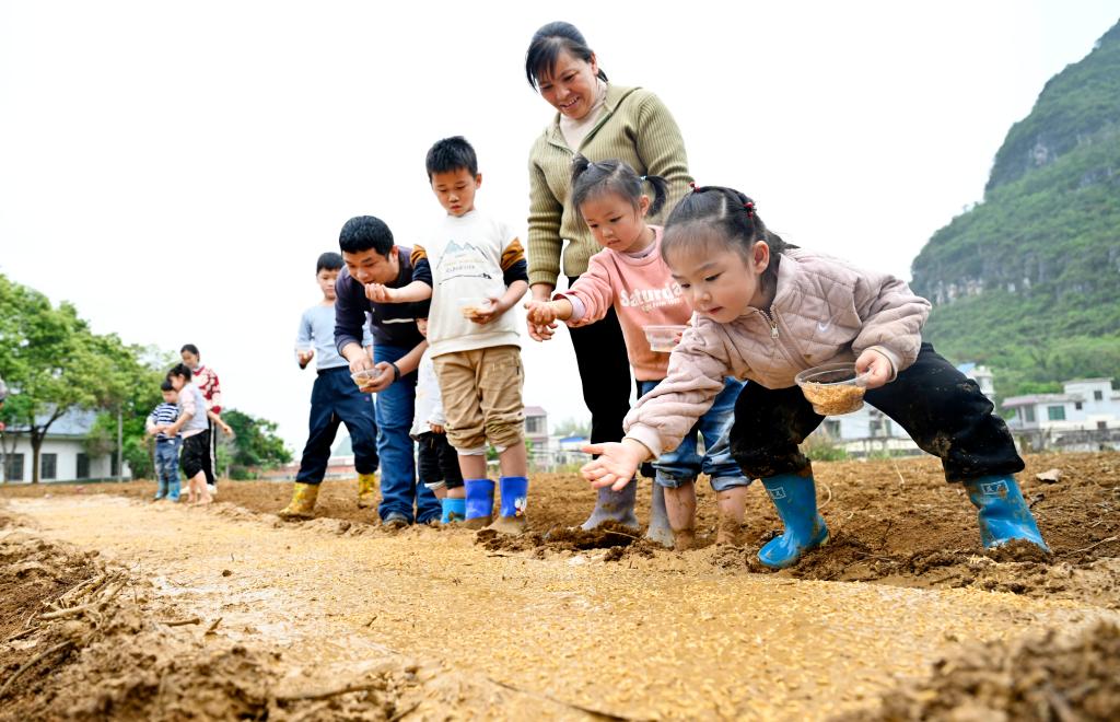 廣西柳州：體驗農(nóng)耕文化 感受田間樂趣