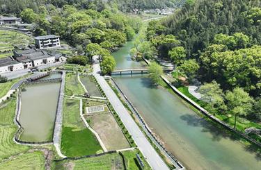 四季中國(guó)丨港背村的“新田園夢(mèng)”