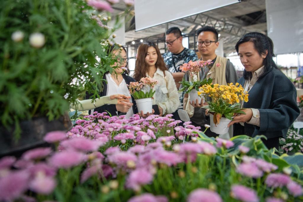 重慶大足：花卉產(chǎn)業(yè)為鄉(xiāng)村振興添香增色