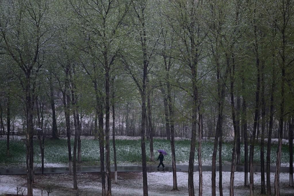 青海西寧迎來降雪天氣