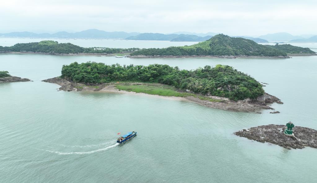 海島護鳥隊：守護自然的“精靈”