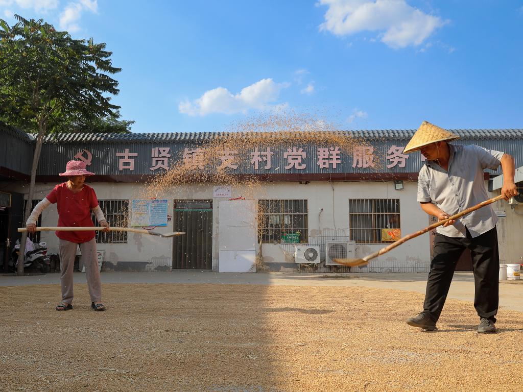 新華全媒+丨河南安陽(yáng)：“騰地曬糧”解決群眾“急難愁盼”