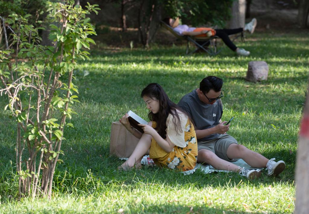 夏日公園閱讀趣