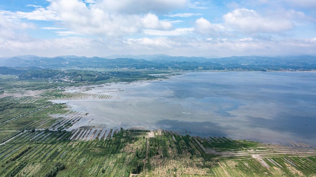 夏日草海景如畫(huà)