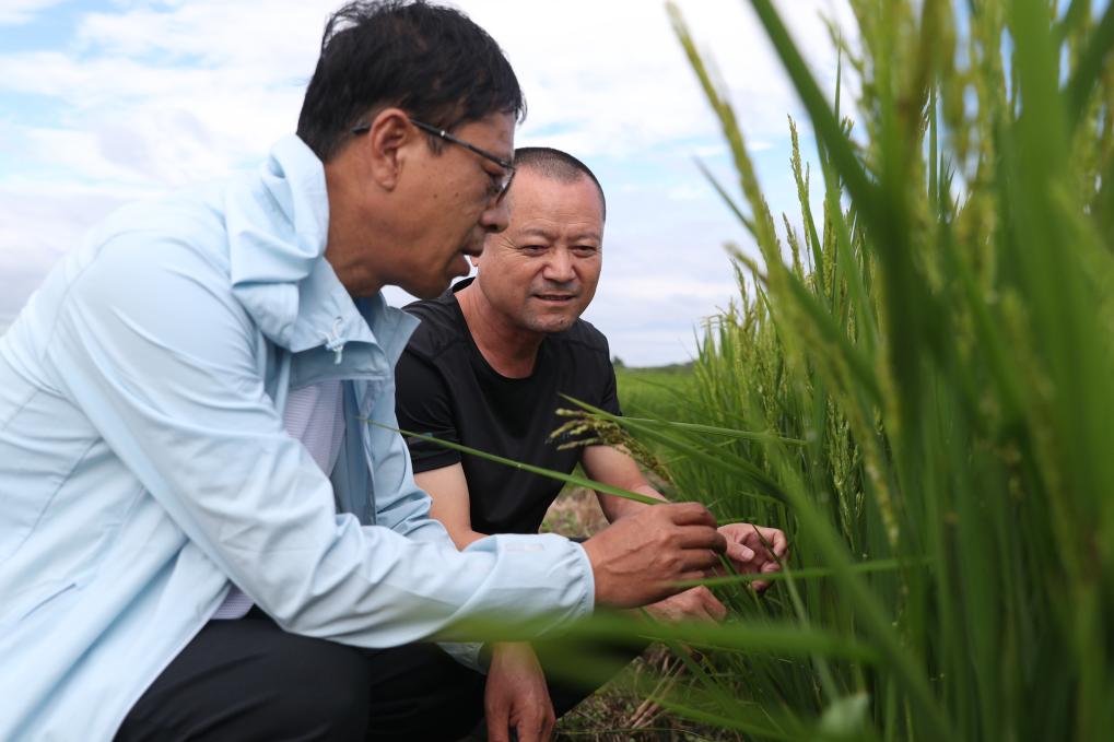 黑龍江積極開展災(zāi)后恢復重建