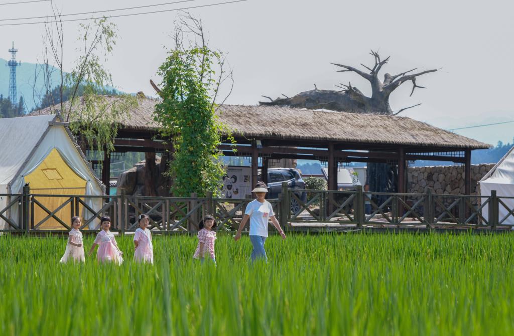 浙江臨安：打造村落景區(qū)助力國(guó)家級(jí)農(nóng)業(yè)產(chǎn)業(yè)強(qiáng)鎮(zhèn)創(chuàng)建