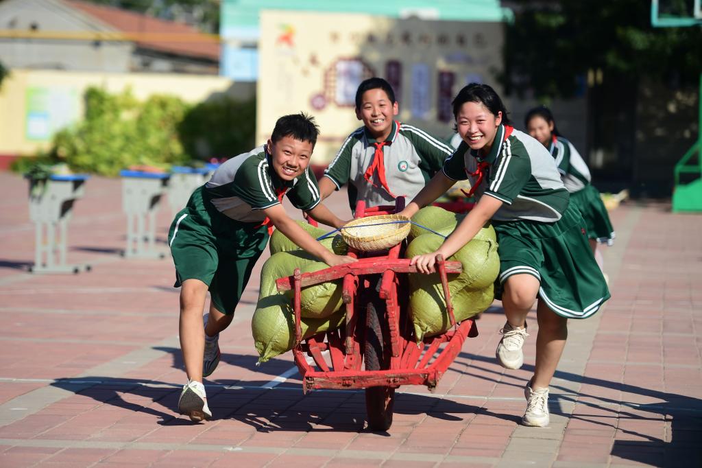 校園豐收節(jié) 勞動快樂多