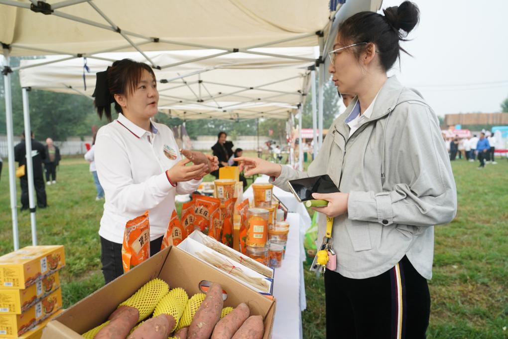 北京平谷：夏各莊鎮(zhèn)第五屆紅薯文化節(jié)開(kāi)幕