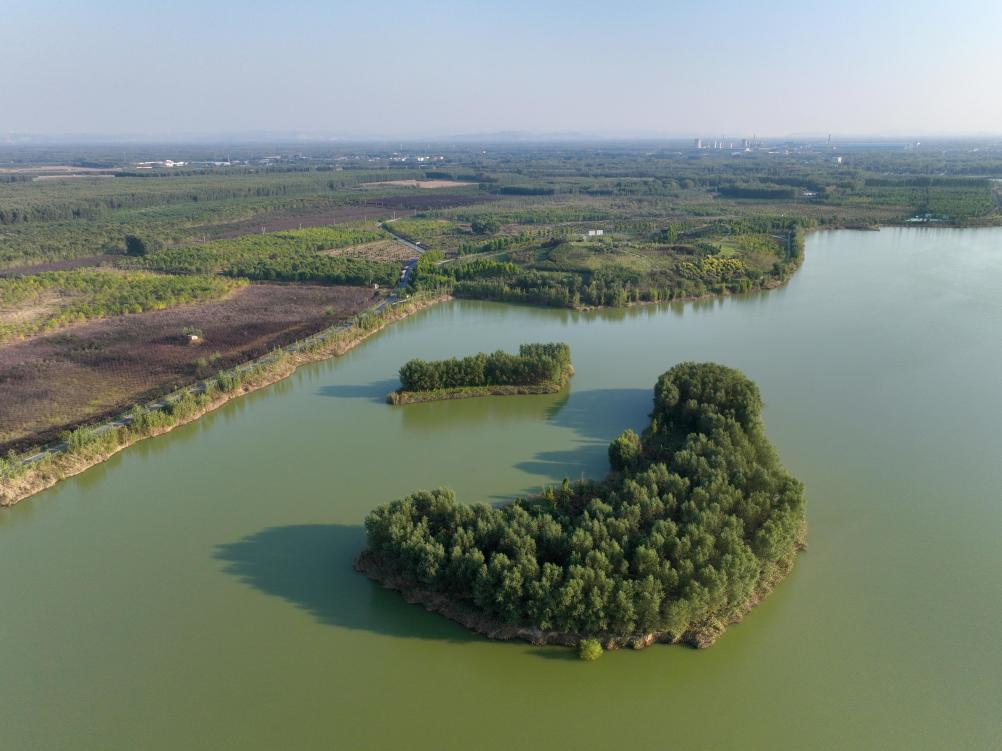 新時代中國調研行·黃河篇丨昔日黃河沉沙區(qū)今成生態(tài)公園