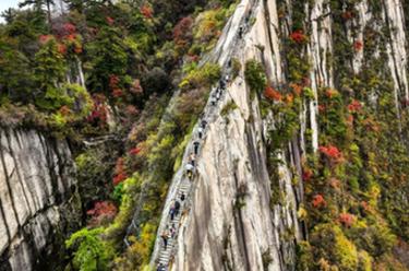 美麗中國(guó)丨西岳華山層林盡染