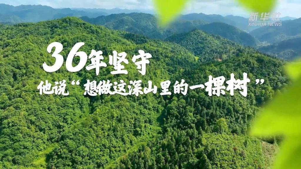 36年堅守！他說“想做這深山里的一棵樹”