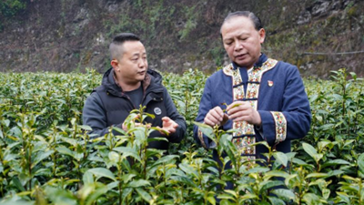 龍獻(xiàn)文：奮戰(zhàn)在鄉(xiāng)村振興一線