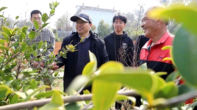 劉木華：去田間地頭和企業(yè)一線