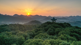 國際森林日丨提升生態(tài)碳匯能力，植樹造林怎么干？