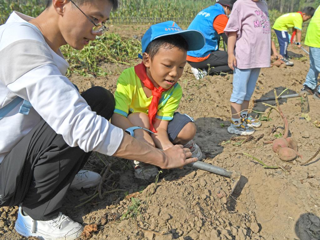 學習農(nóng)事 體驗豐收