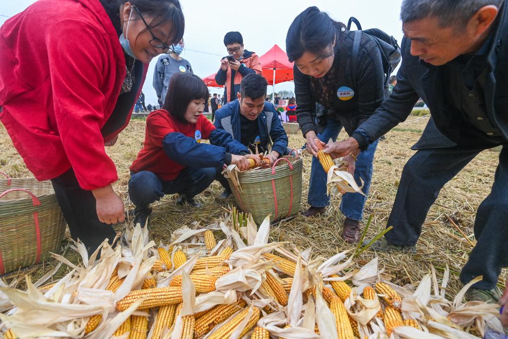 杭州瓶窯舉辦農(nóng)民豐收運(yùn)動會